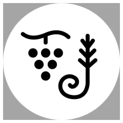 მეღვინეობა კონდოლი